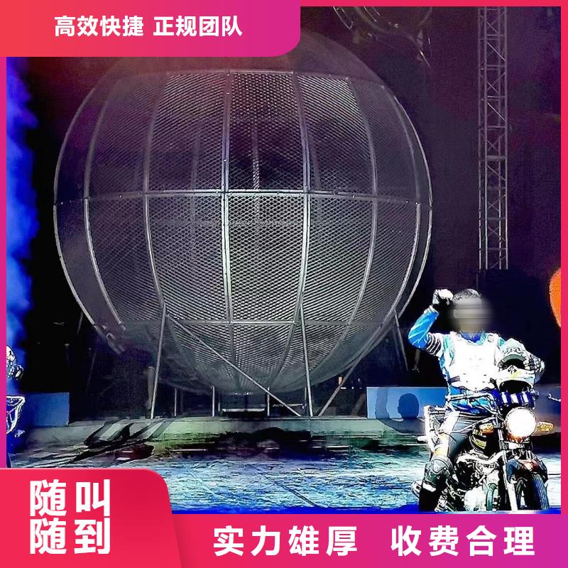 马戏团/羊驼鹦鹉表演租赁放心之选