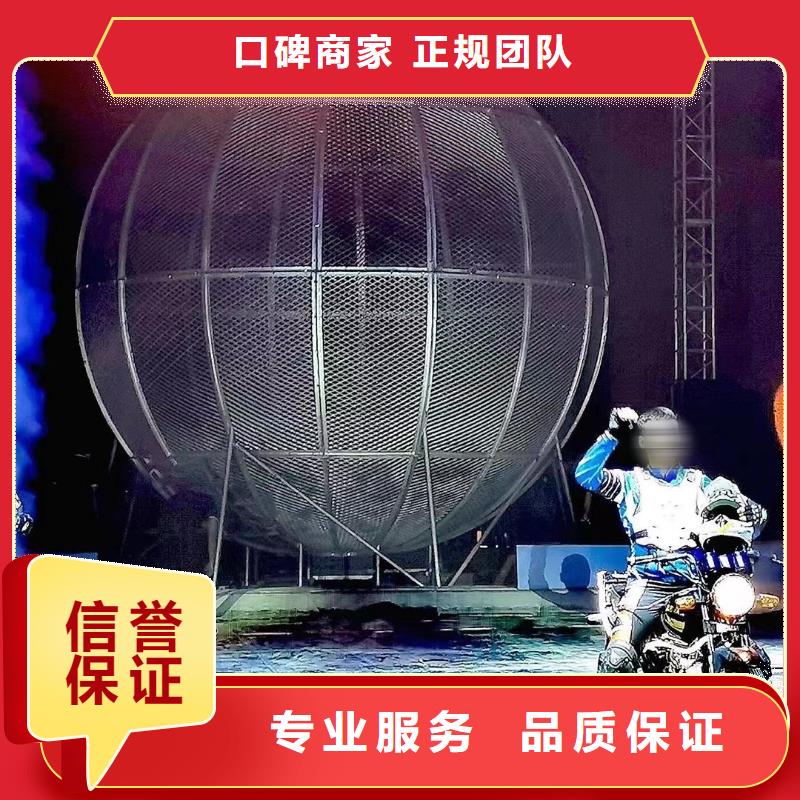 馬戲團(tuán)/羊駝 美人魚(yú)表演值得信賴