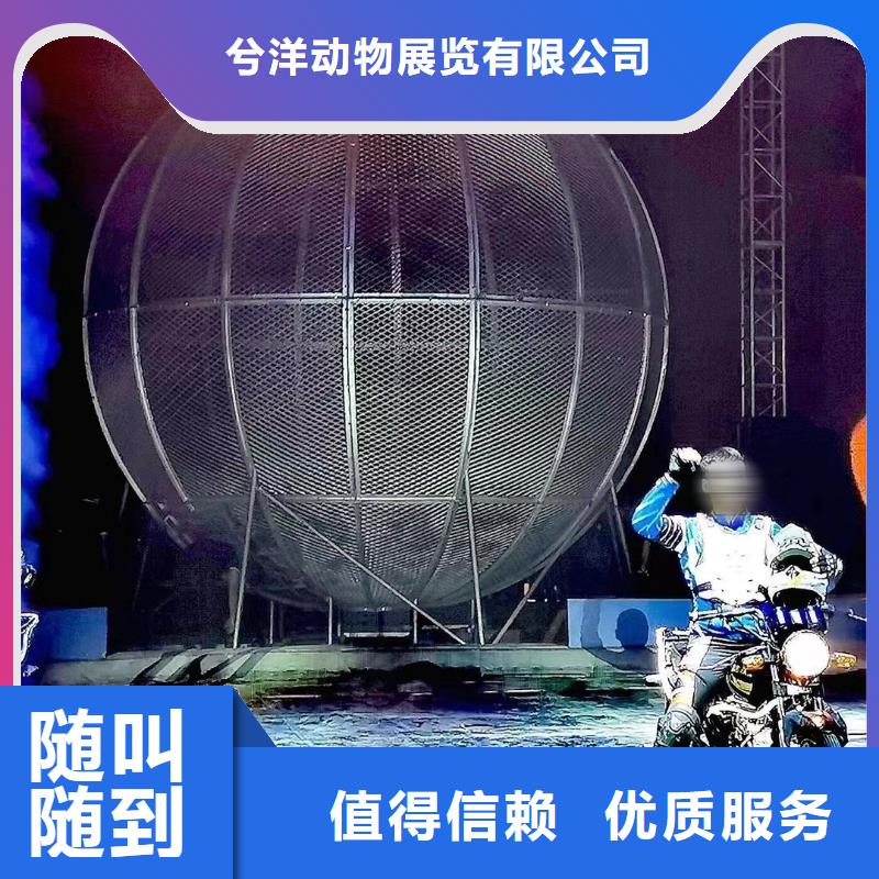馬戲團(tuán)/羊駝出租企鵝實(shí)力商家