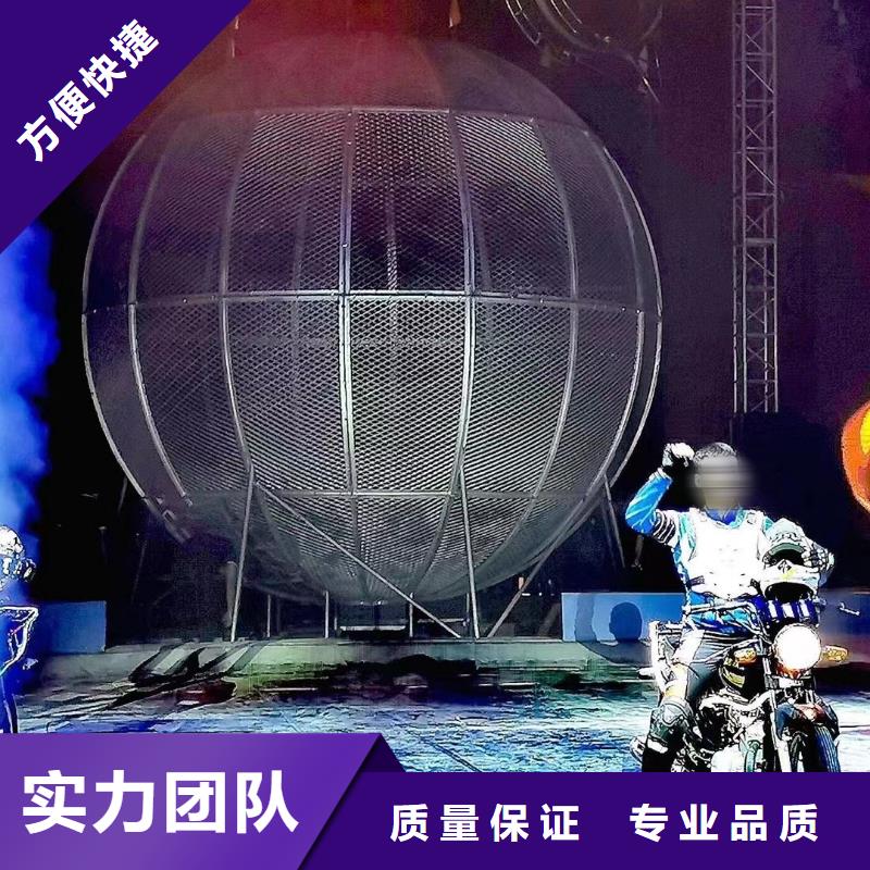 马戏团/羊驼,【出租企鹅表演】解决方案