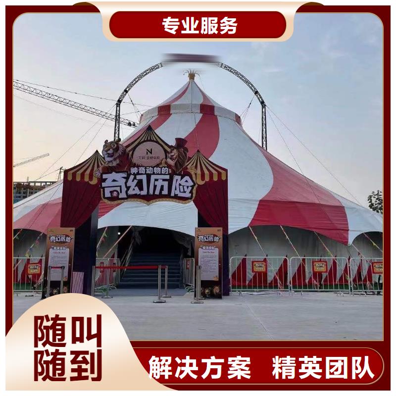 马戏团/羊驼 动物表演实力公司