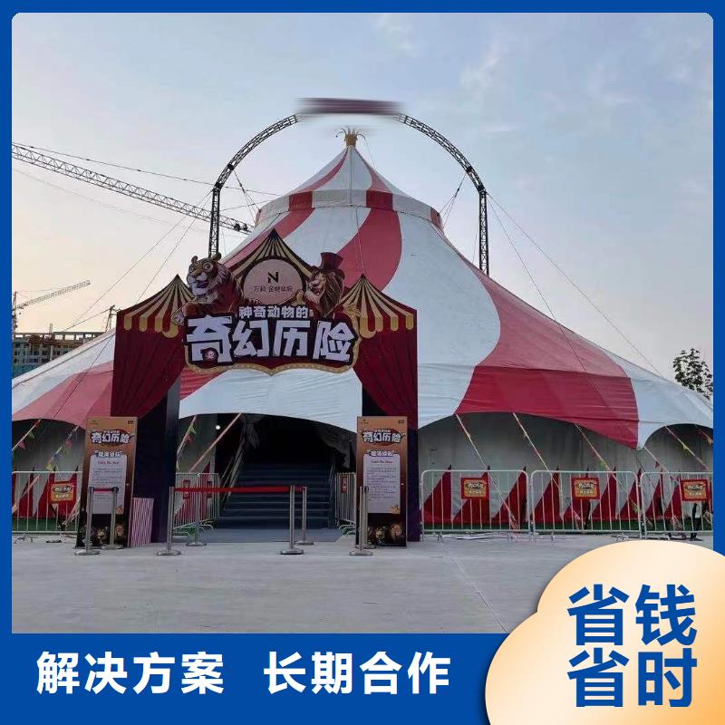马戏团/羊驼出租马戏团表演2025公司