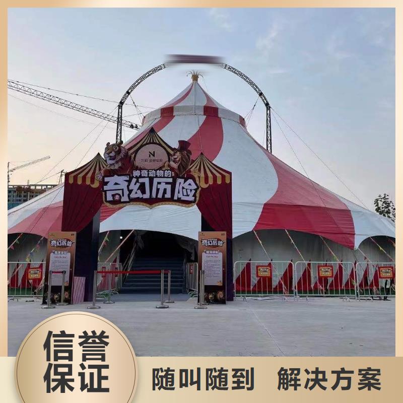 马戏团/羊驼马戏团表演出租租赁品质卓越