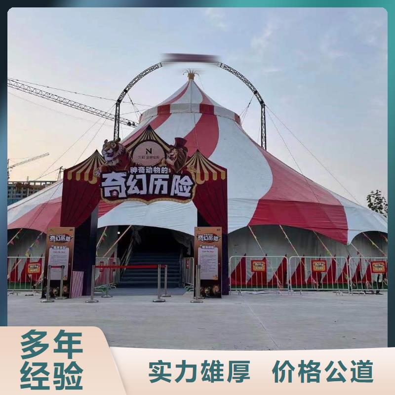 馬戲團(tuán)/羊駝-馬戲團(tuán)表演多年經(jīng)驗(yàn)