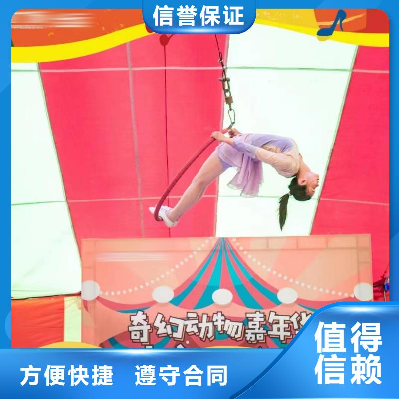 马戏团/羊驼海狮表演出租专业公司