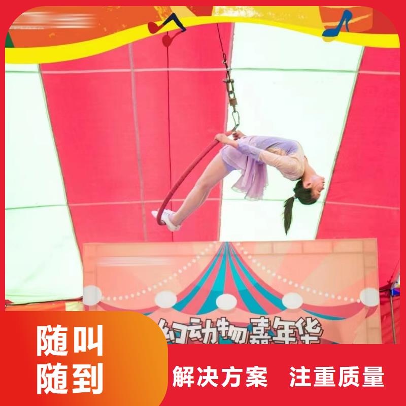 馬戲團(tuán)/羊駝,【羊駝出租】正規(guī)團(tuán)隊