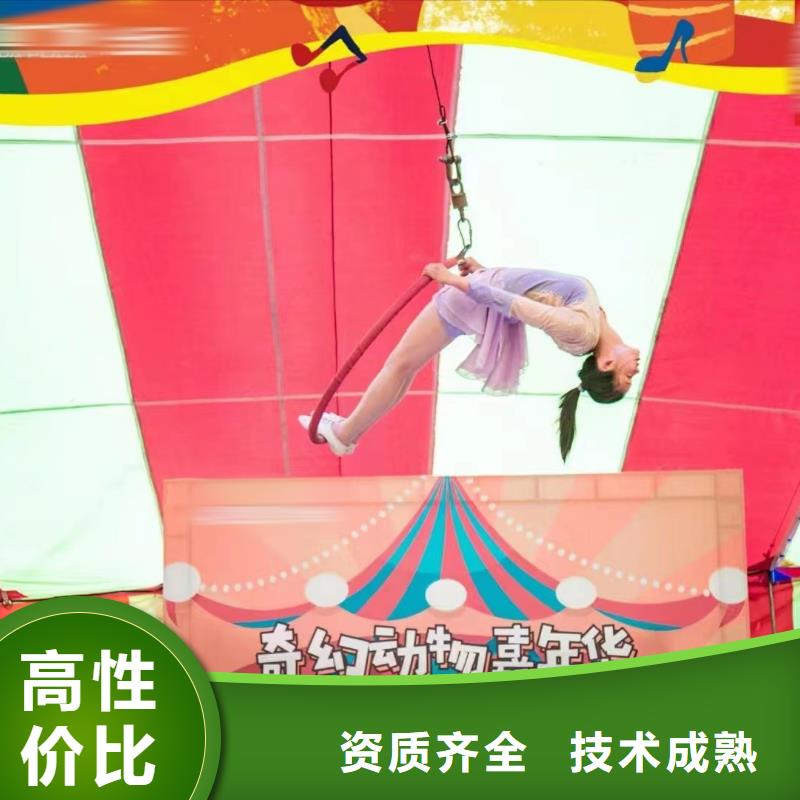 馬戲團(tuán)/羊駝美人魚(yú)表演品質(zhì)卓越