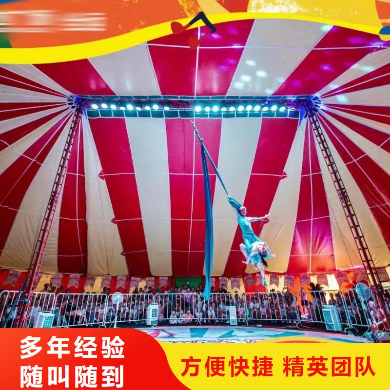【馬戲團/羊駝】【企鵝表演】專業(yè)可靠