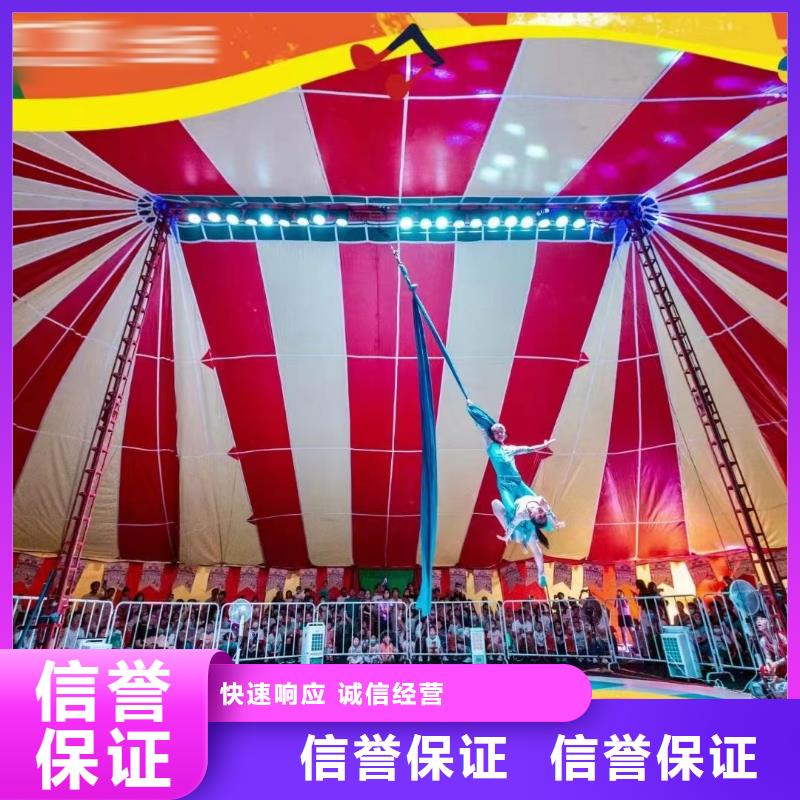 馬戲團(tuán)/羊駝美人魚(yú)表演品質(zhì)卓越