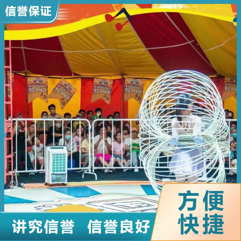 馬戲團/羊駝馬戲團表演收費合理