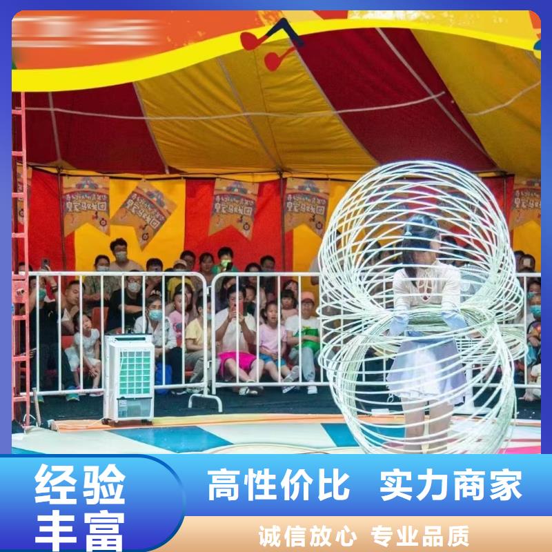 馬戲團(tuán)/羊駝草泥馬羊駝租賃遵守合同