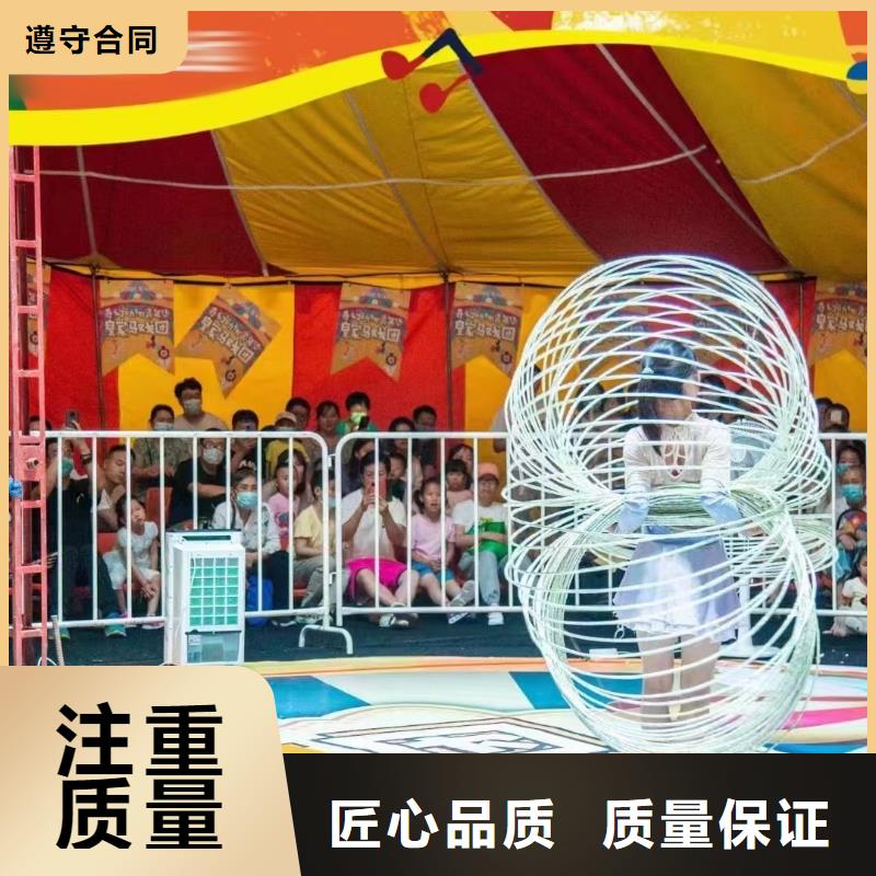 馬戲團(tuán)/羊駝,【羊駝出租】正規(guī)團(tuán)隊