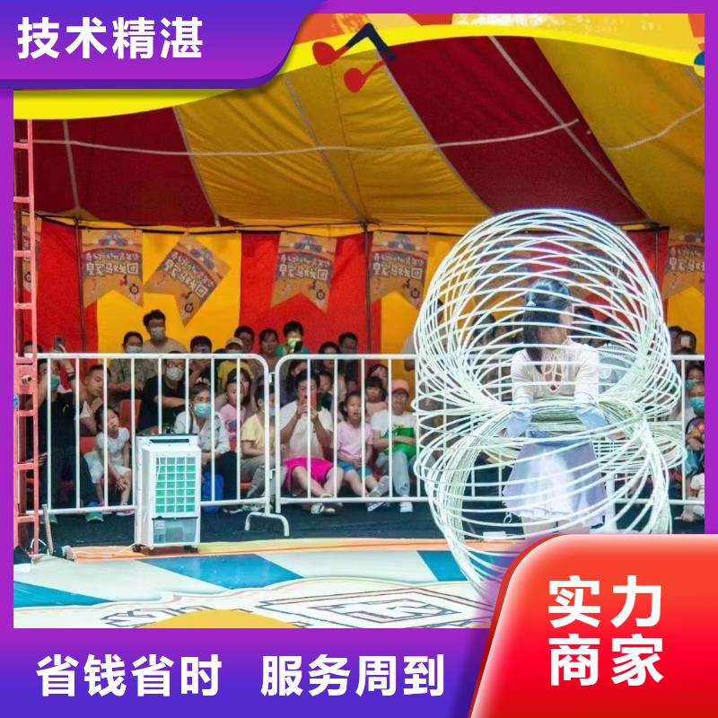 馬戲團(tuán)/羊駝馬戲團(tuán)表演收費(fèi)合理