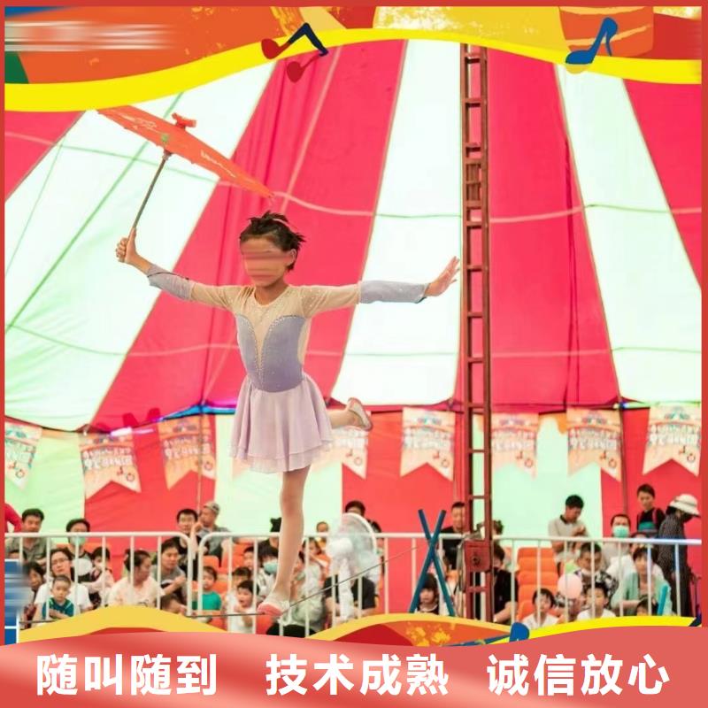 馬戲團(tuán)/羊駝,【羊駝出租】正規(guī)團(tuán)隊