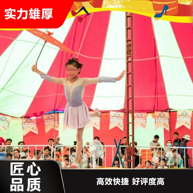 馬戲團(tuán)/羊駝海獅表演出租專(zhuān)業(yè)公司