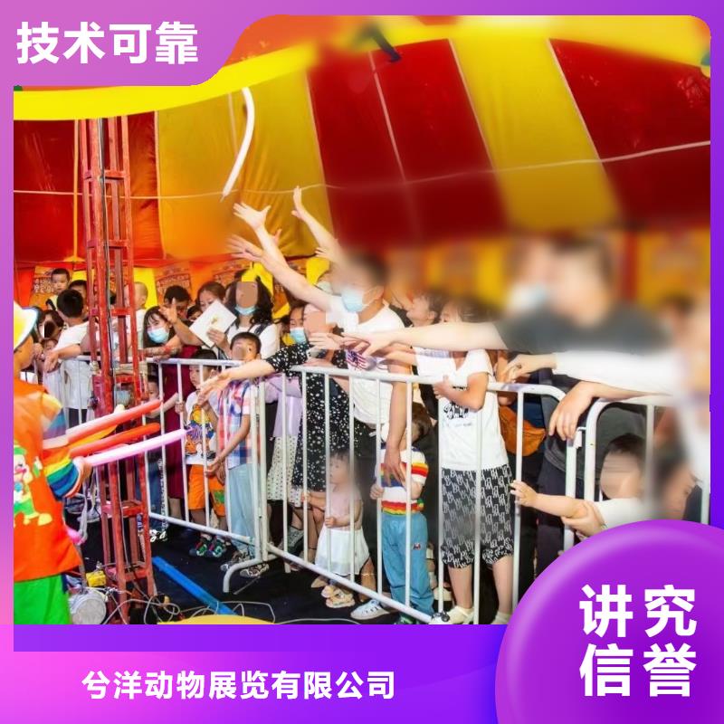 馬戲團(tuán)/羊駝,【羊駝出租】正規(guī)團(tuán)隊