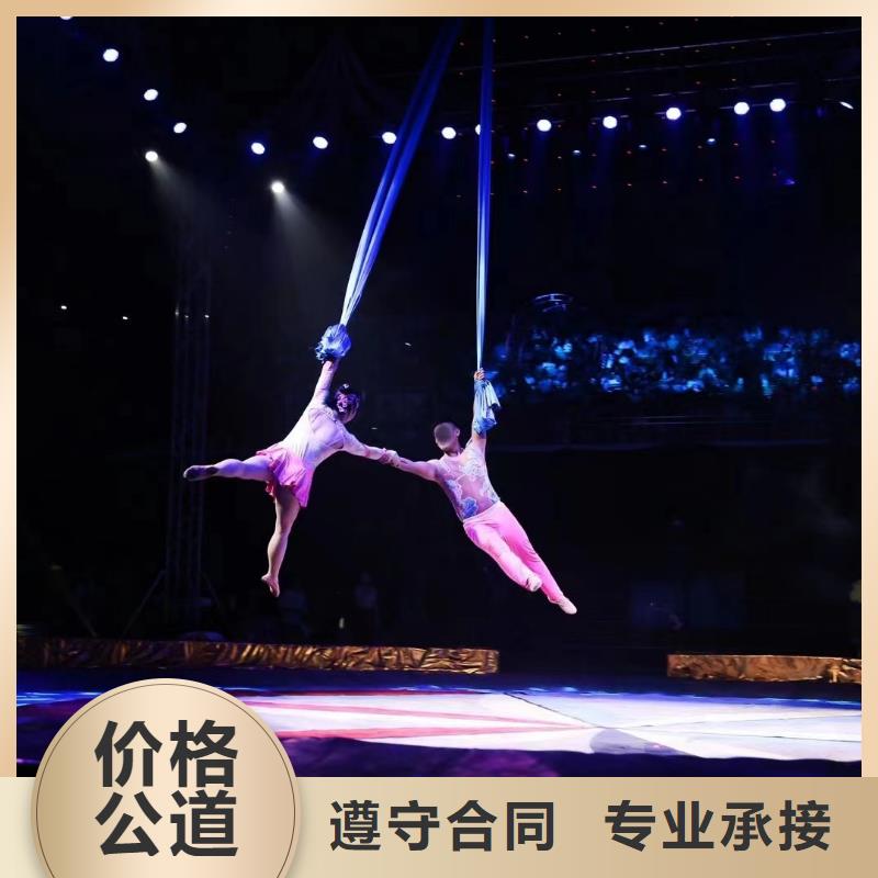 馬戲團(tuán)/羊駝美人魚(yú)表演品質(zhì)卓越