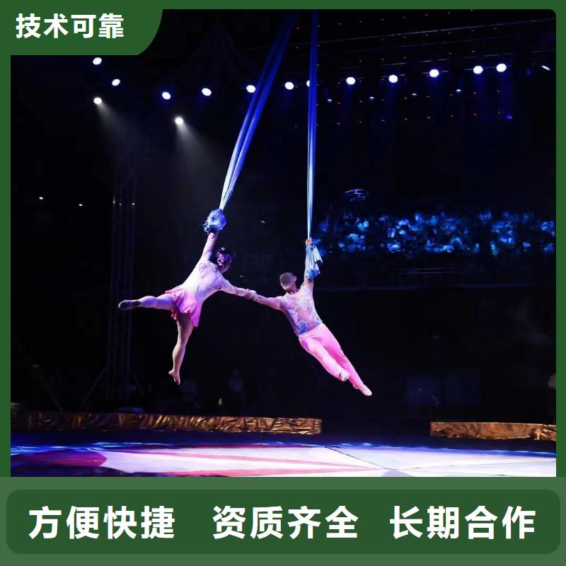 馬戲團(tuán)/羊駝草泥馬羊駝租賃遵守合同
