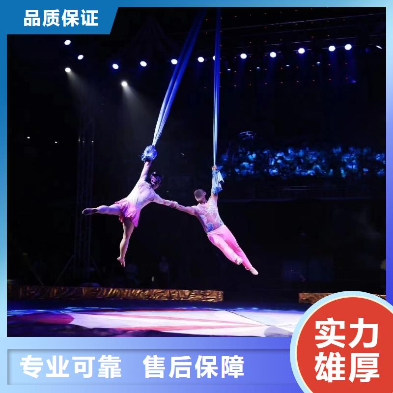 馬戲團(tuán)/羊駝,【羊駝出租】正規(guī)團(tuán)隊