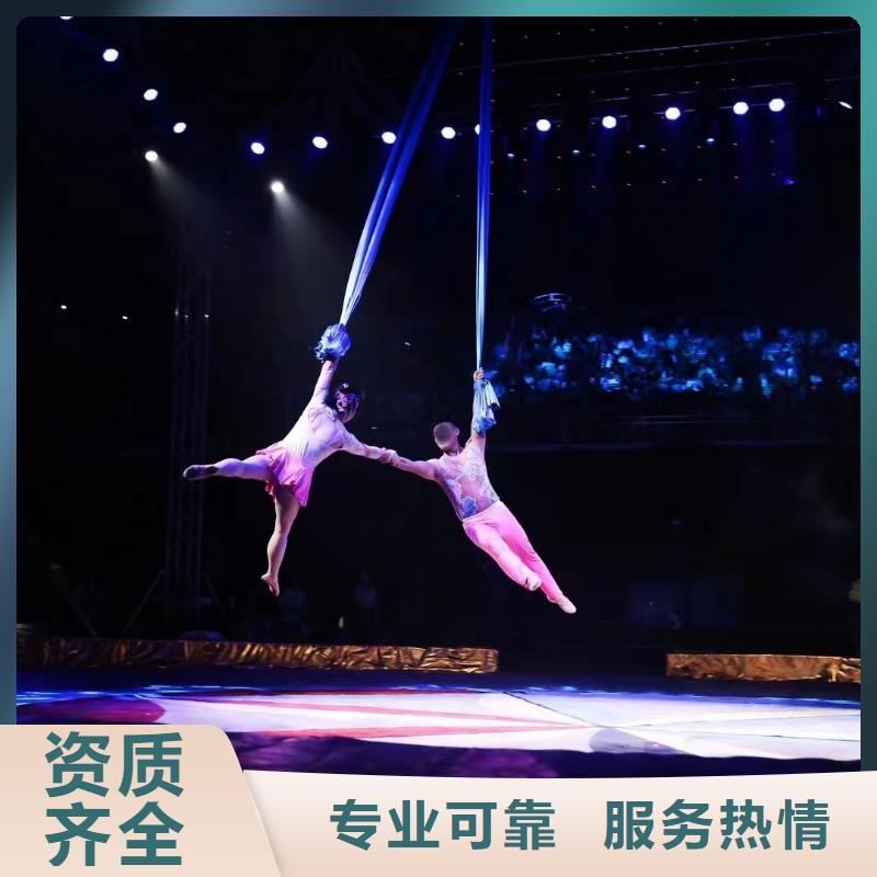 馬戲團(tuán)/羊駝草泥馬羊駝租賃技術(shù)好