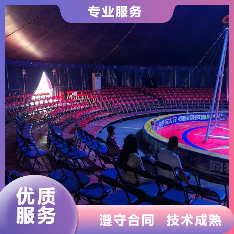馬戲團(tuán)/羊駝,【羊駝出租】正規(guī)團(tuán)隊