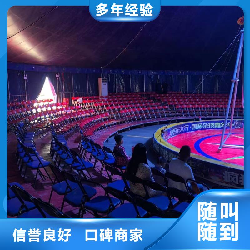 馬戲團/羊駝_小馬戲出租質(zhì)量保證