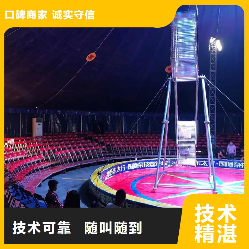 馬戲團(tuán)/羊駝美人魚(yú)表演品質(zhì)卓越