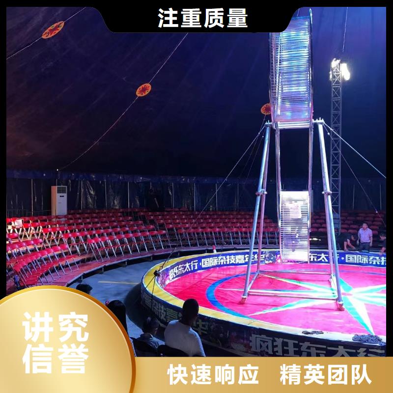 馬戲團(tuán)/羊駝,【羊駝出租】正規(guī)團(tuán)隊