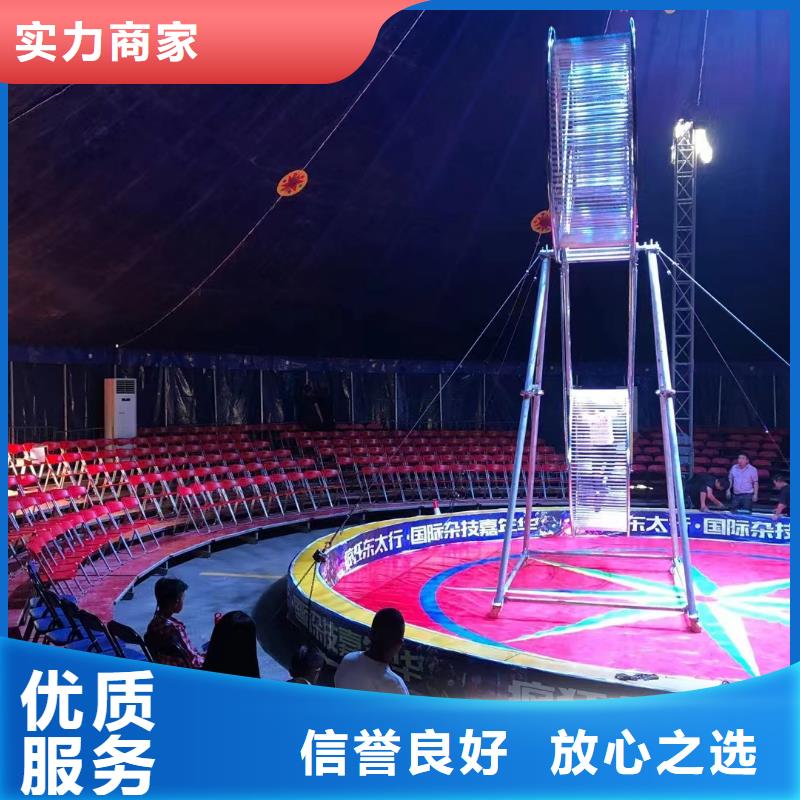 馬戲團(tuán)/羊駝表演羊駝租賃誠(chéng)信放心