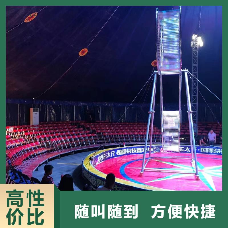 馬戲團/羊駝馬戲團表演收費合理