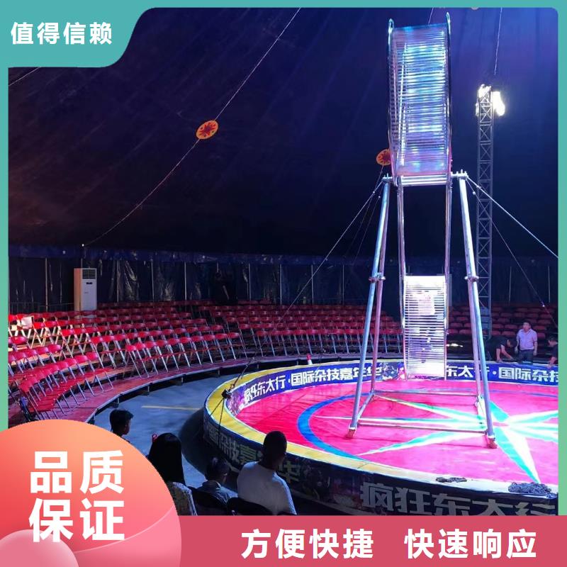 馬戲團/羊駝_馬戲團表演出租租賃良好口碑