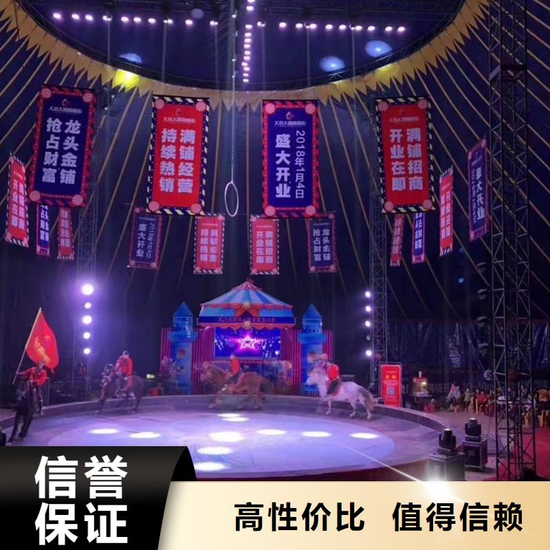 馬戲團(tuán)/羊駝美人魚(yú)表演品質(zhì)卓越