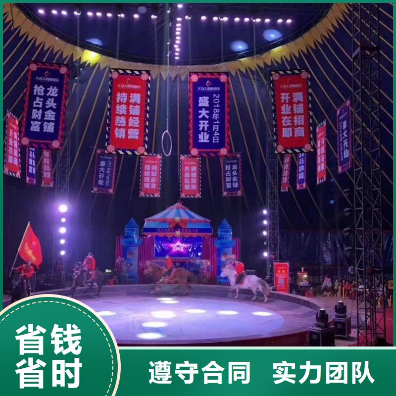 馬戲團/羊駝_馬戲團表演出租租賃良好口碑