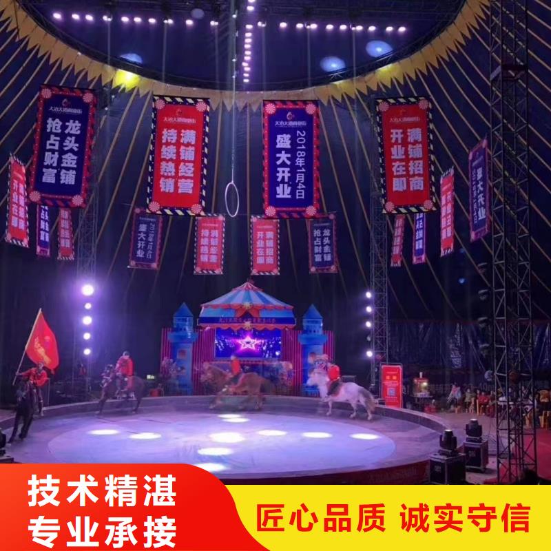 馬戲團(tuán)/羊駝草泥馬羊駝租賃遵守合同