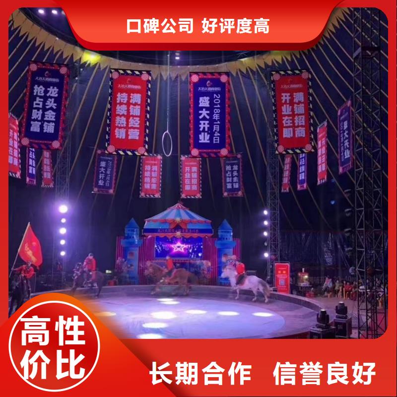 馬戲團(tuán)/羊駝馬戲團(tuán)表演收費(fèi)合理