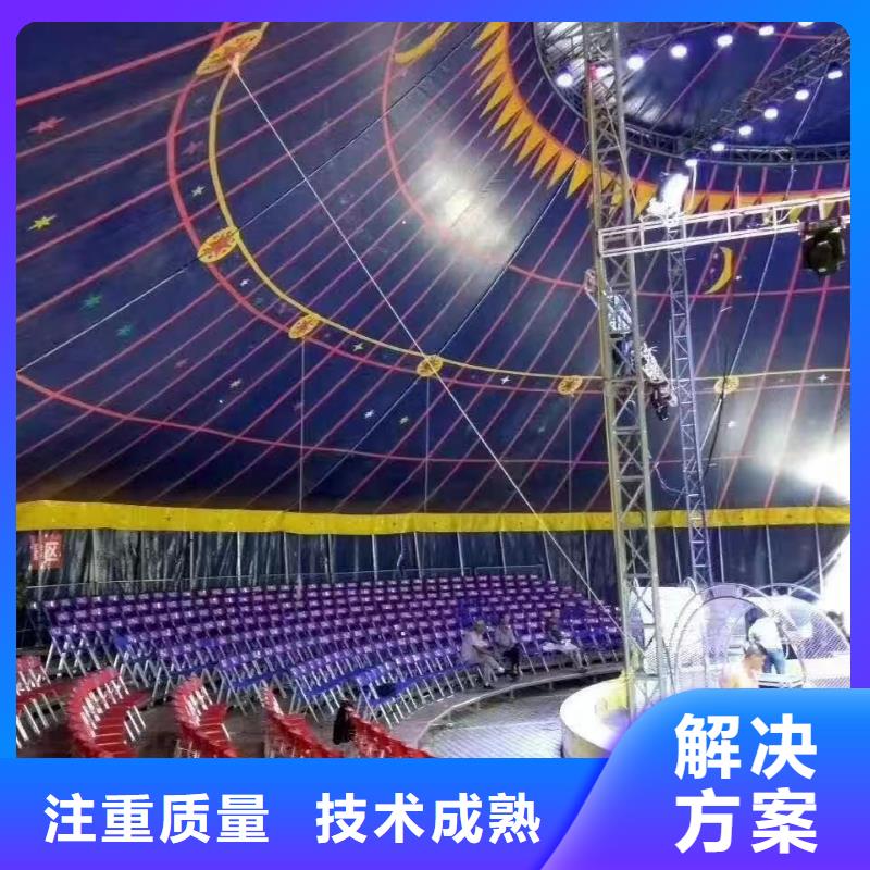 馬戲團(tuán)/羊駝,【羊駝出租】正規(guī)團(tuán)隊
