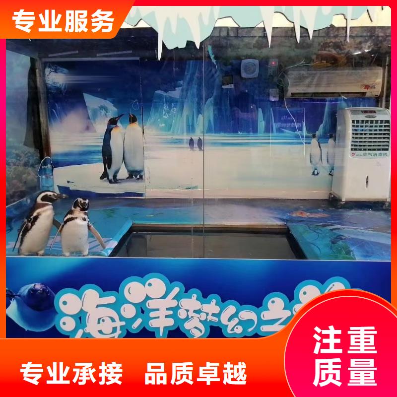 海洋主題動物表演_【海獅租賃表演】專業(yè)