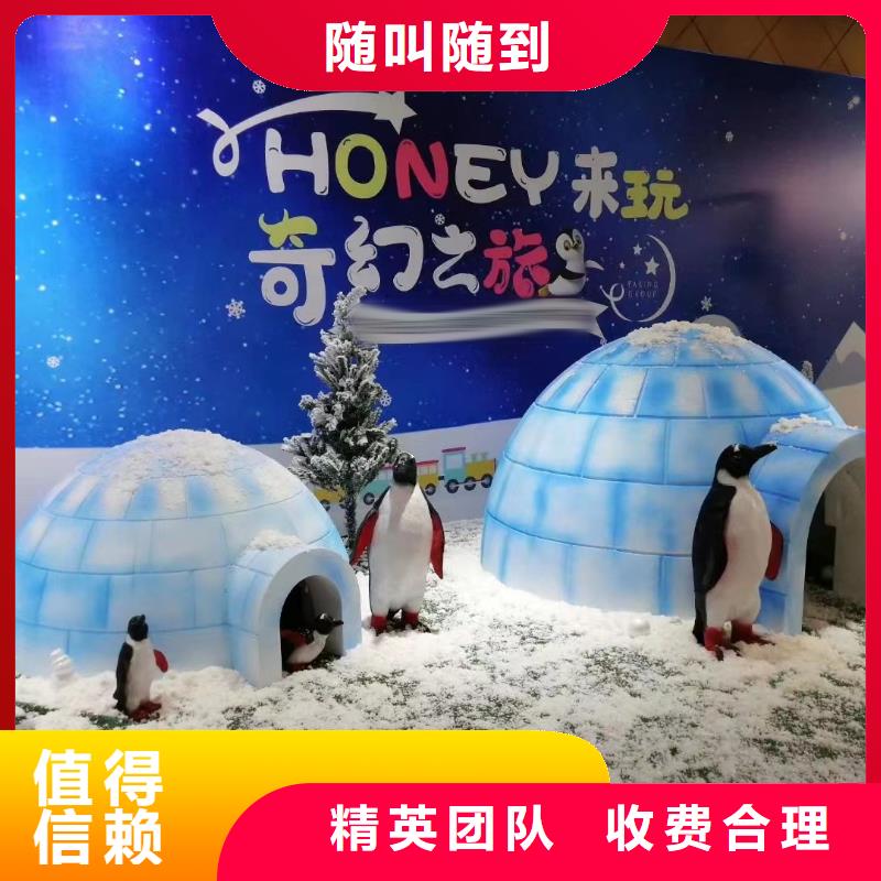 海洋主題動物表演動物雜技表演租賃專業(yè)團(tuán)隊