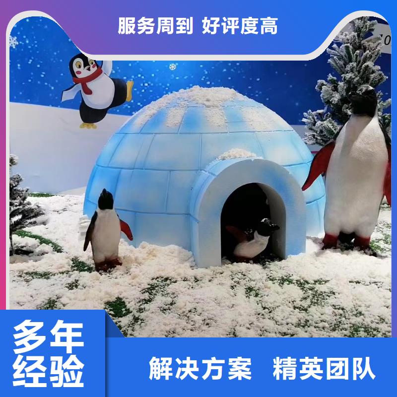 海洋主题动物表演动物表演欢迎询价