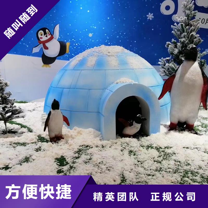 海洋主题动物表演鹦鹉表演齐全