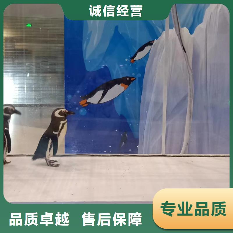 海洋主題動(dòng)物表演美人魚表演歡迎詢價(jià)