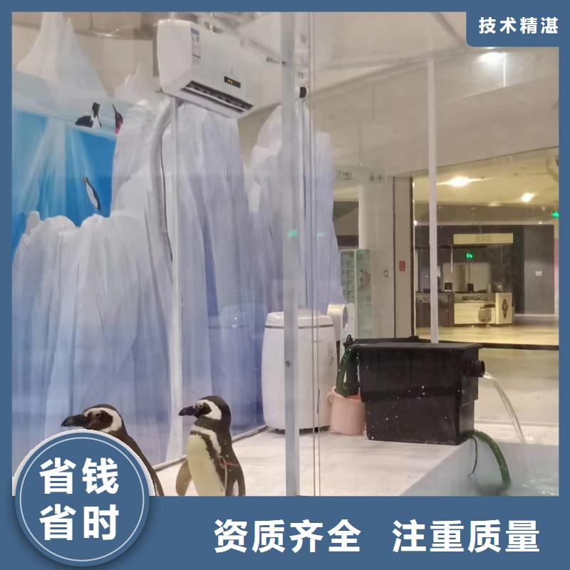 海洋主题动物表演_小马戏表演出租专业承接