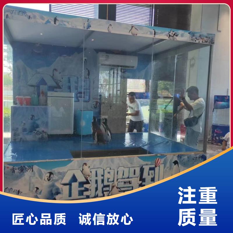海洋主題動物表演馬戲團出租 有實力