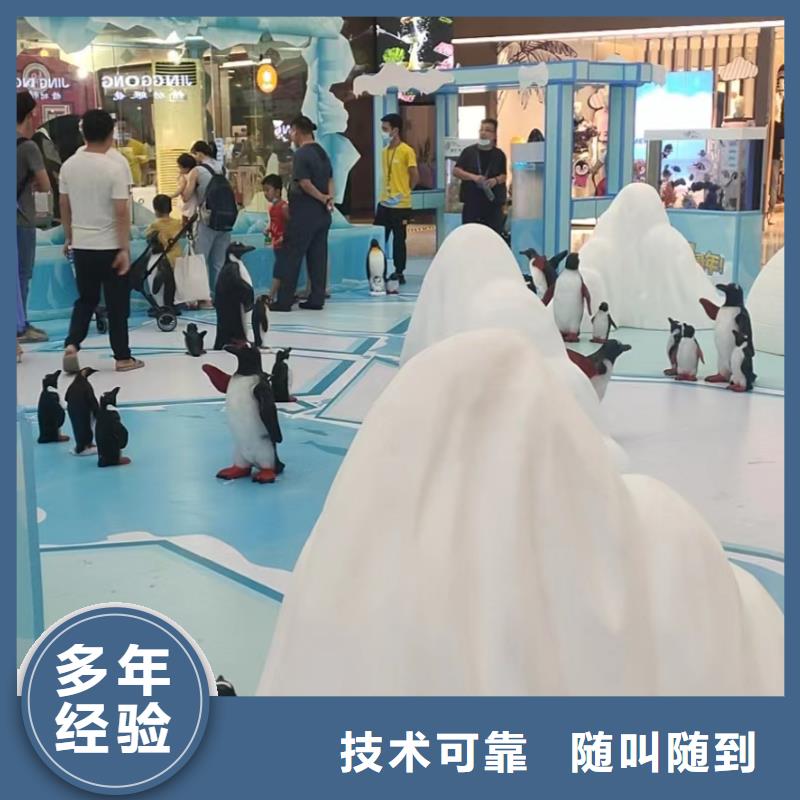 海洋主題動(dòng)物表演企鵝租賃專(zhuān)業(yè)可靠