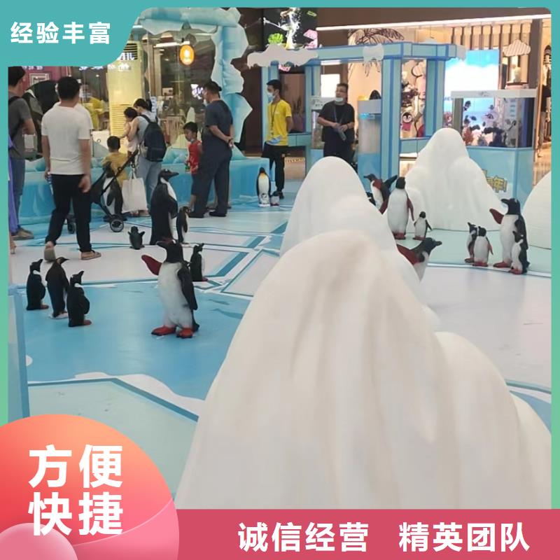 海洋主題動物表演_小馬戲出租比同行便宜