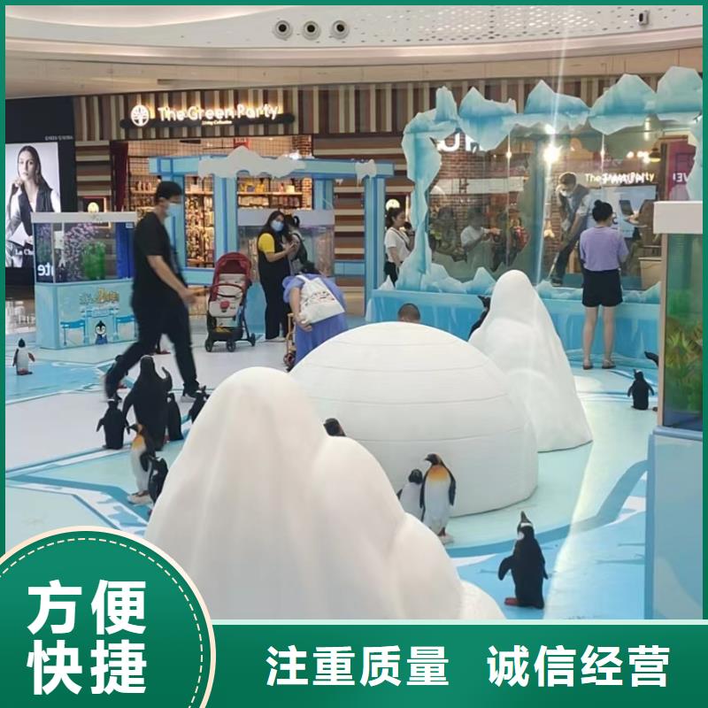 【海洋主題動物表演羊駝表演技術(shù)比較好】
