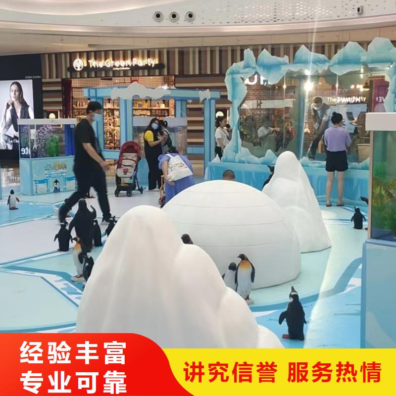 海洋主題動物表演出租馬戲團表演高性價比