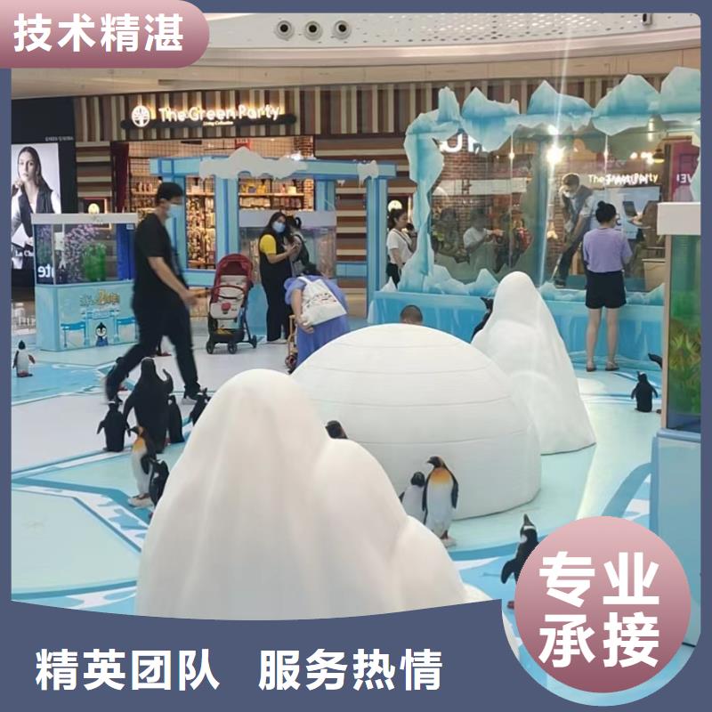 海洋主题动物表演羊驼出租放心之选