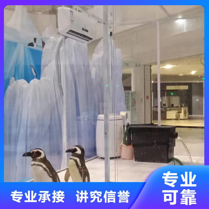 海洋主题动物表演鹦鹉表演口碑公司
