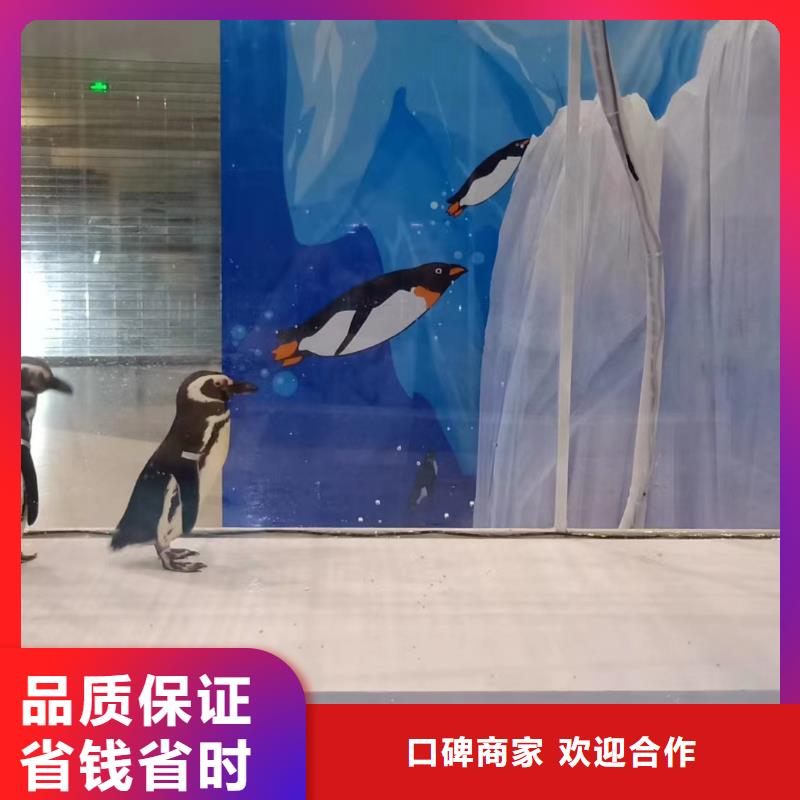 海洋主題動物表演_【海獅租賃表演】專業(yè)